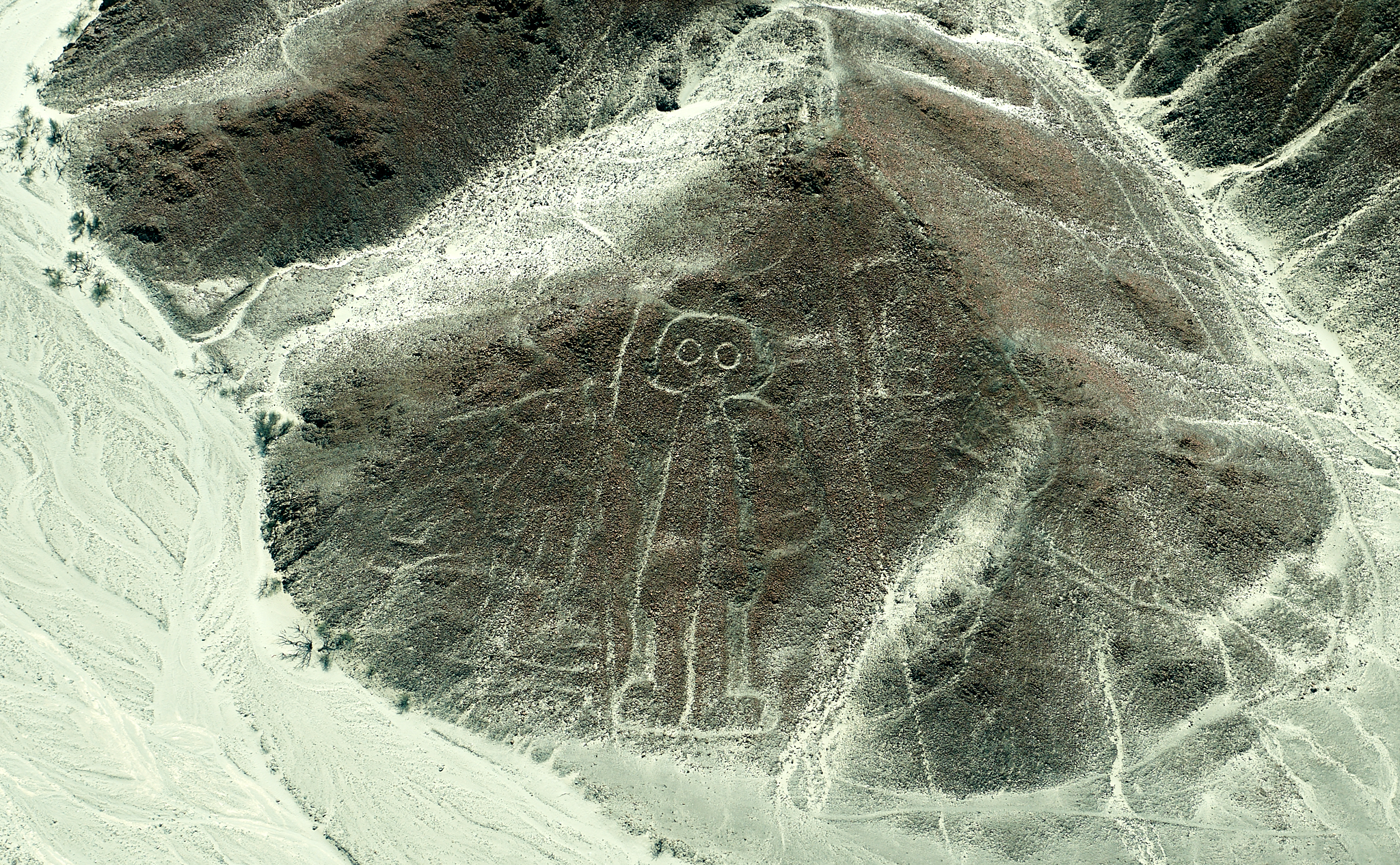 20200305 261 [페루] 나스카 라인